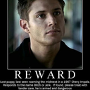 supernatural-reader avatar