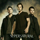 supernatural-winchester-dem-blog avatar