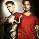 supernaturalarmy-blog-blog avatar