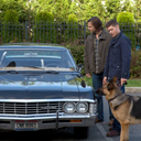 supernaturalfanblog avatar