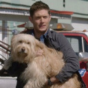 supernaturalfeverdream avatar