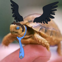 supernaturtle-blog avatar