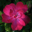 supernoice013 avatar