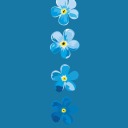 supernova1437 avatar