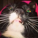 superpandaface avatar