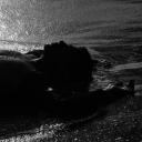 superparadise-ghost avatar