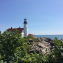 superpositionof3types avatar