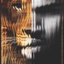 superpowerfanfiction avatar