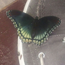 superpromopack1 avatar