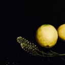 superrandomusernameposts avatar