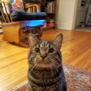 superschmachel avatar