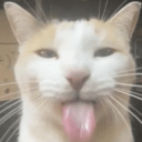 supersillynewt avatar