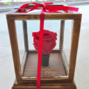 supersonic-dreamer avatar