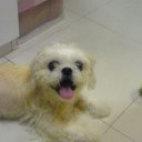 supersteve61731 avatar