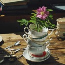 superstrangerstarlight avatar