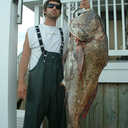 superswampfox avatar