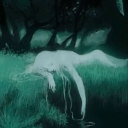 superturtleplaiddonut avatar