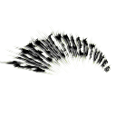 superultra2dtunes avatar