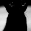 superwhitecloudsme avatar