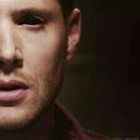 superwholock-fans avatar