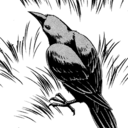 superwholockibal1513 avatar