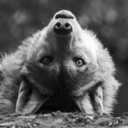 superwholockkay avatar