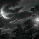 superwholockworldblr avatar