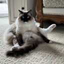 support-local-bands avatar