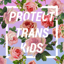 support-our-trans-sisters avatar