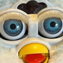 supportfurbyrights avatar