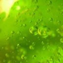 suppose-i-was-worm avatar