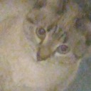 supposedbitch avatar