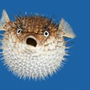 supposedtobedead avatar