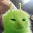 supremeannoying avatar