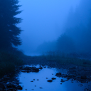 supremedolphinoverlord avatar