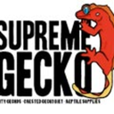 supremegecko avatar