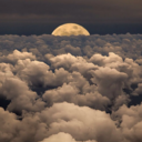 supremexfresh51 avatar