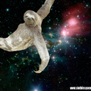 supsloths-blog avatar