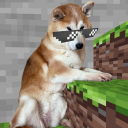 supsupsminecraft avatar