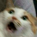 supurrnova-blog1 avatar