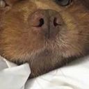 surefinewhateverok avatar