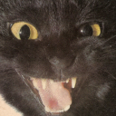 sureklikarnimac avatar