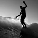 surf-elysium avatar