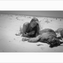 surf-the-day-away avatar