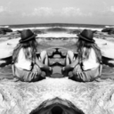 surf-to-survive avatar