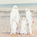 surfghosts-blog avatar