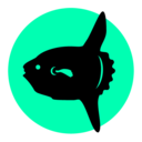 surfin-on-a-sunfish avatar