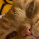 surfing-for-better-dayz avatar