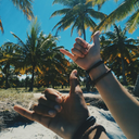 surfistadapaz avatar