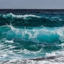 surfsupswimdown avatar